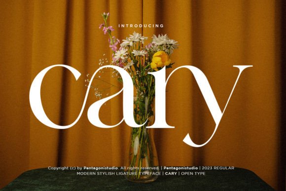 Cary: A Classy Serif Font