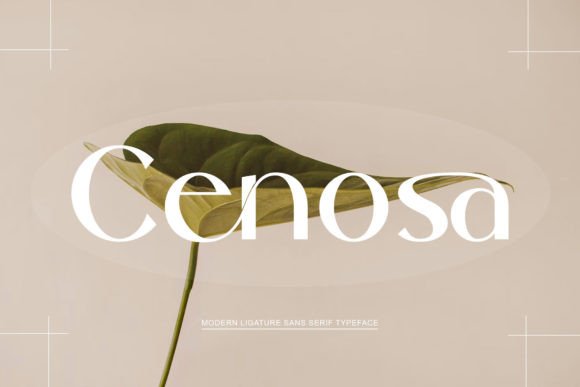 Cenosa: A Modern Sans Serif for Elegant Design