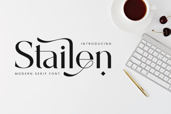 Stailen: A Serif Font for Clear Campaigns